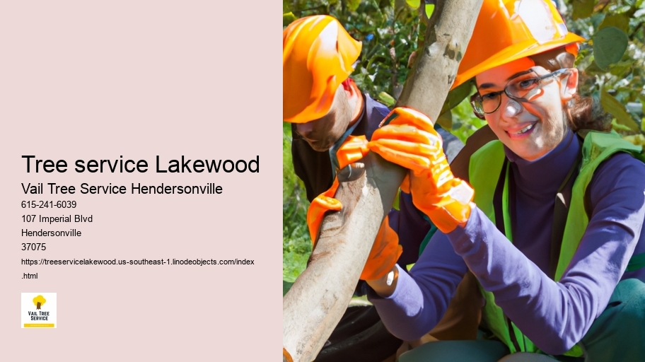 tree service Lakewood