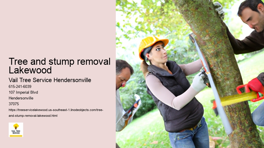 tree and stump removal Lakewood